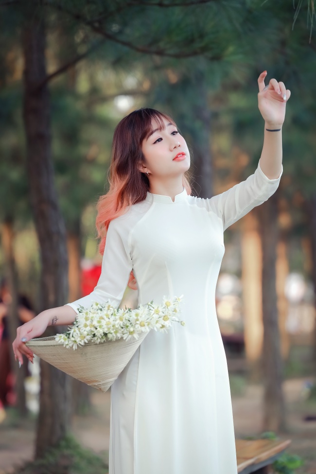 蛇蝎档案
